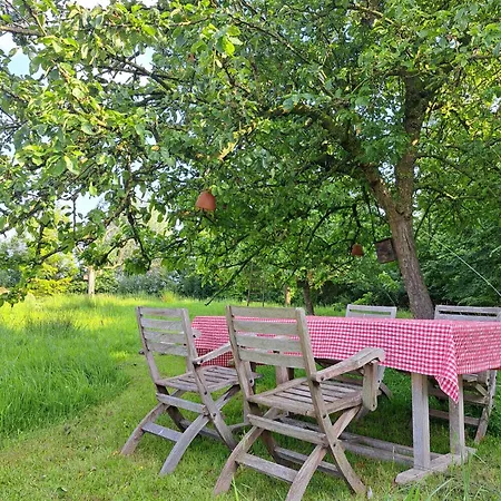 Hogescheure * Staden